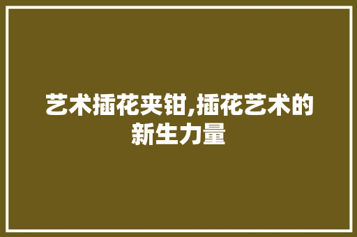 艺术插花夹钳,插花艺术的新生力量