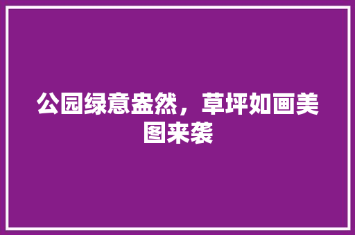 公园绿意盎然，草坪如画美图来袭