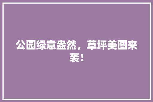 公园绿意盎然，草坪美图来袭！