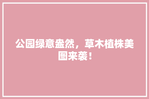 公园绿意盎然，草木植株美图来袭！