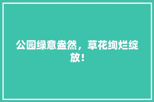 公园绿意盎然，草花绚烂绽放！