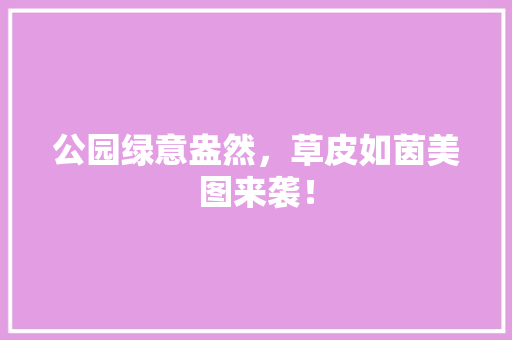 公园绿意盎然，草皮如茵美图来袭！