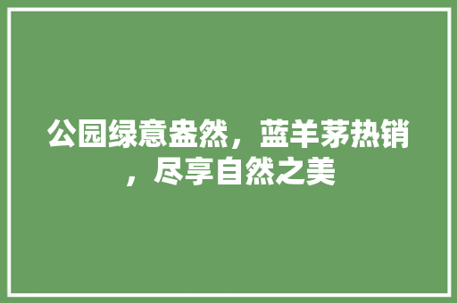 公园绿意盎然，蓝羊茅热销，尽享自然之美