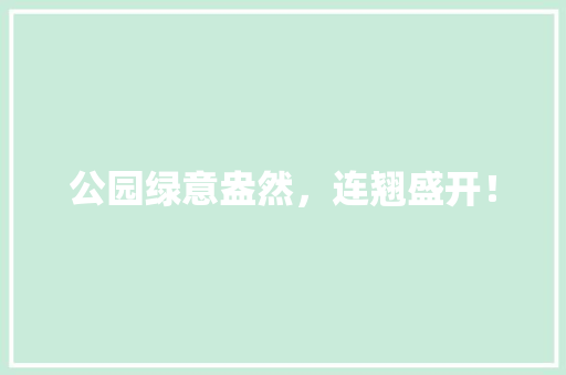 公园绿意盎然，连翘盛开！