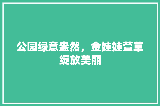公园绿意盎然，金娃娃萱草绽放美丽
