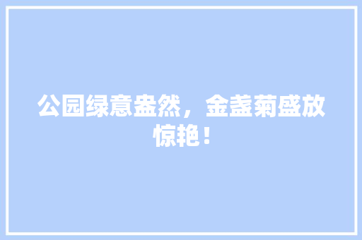 公园绿意盎然，金盏菊盛放惊艳！