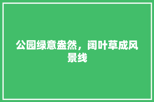 公园绿意盎然，阔叶草成风景线