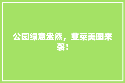 公园绿意盎然，韭菜美图来袭！