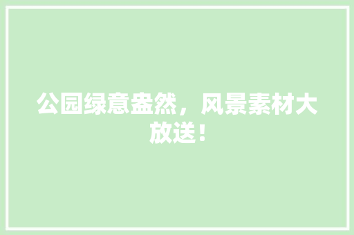 公园绿意盎然，风景素材大放送！