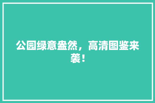 公园绿意盎然，高清图鉴来袭！