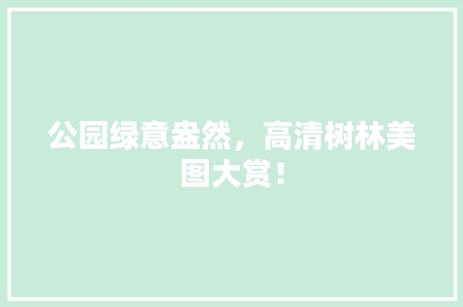 公园绿意盎然，高清树林美图大赏！