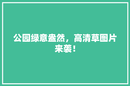 公园绿意盎然，高清草图片来袭！