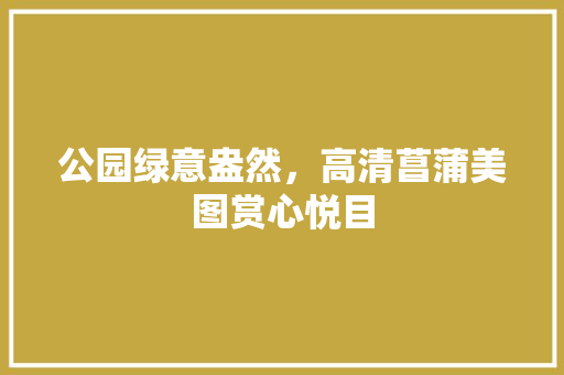 公园绿意盎然，高清菖蒲美图赏心悦目