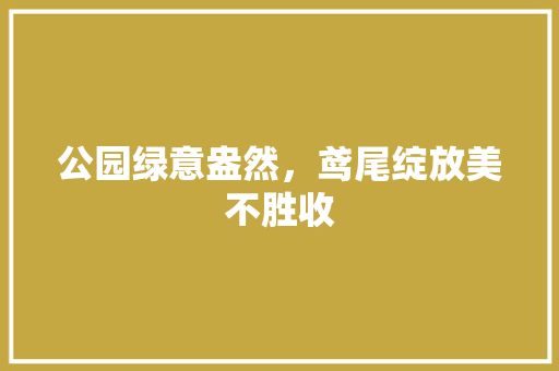 公园绿意盎然，鸢尾绽放美不胜收