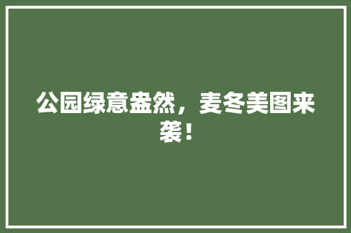 公园绿意盎然，麦冬美图来袭！