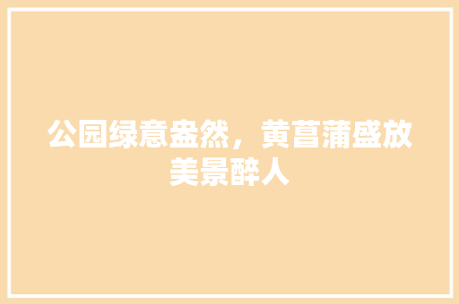 公园绿意盎然，黄菖蒲盛放美景醉人