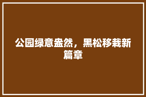 公园绿意盎然，黑松移栽新篇章