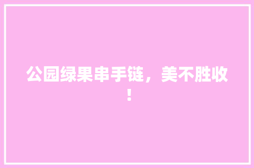 公园绿果串手链，美不胜收！