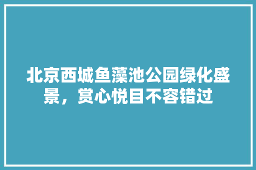 北京西城鱼藻池公园绿化盛景，赏心悦目不容错过