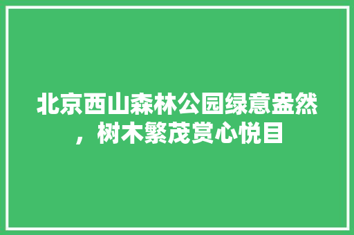 北京西山森林公园绿意盎然，树木繁茂赏心悦目