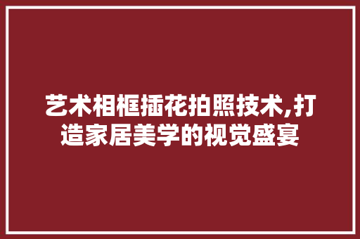 艺术相框插花拍照技术,打造家居美学的视觉盛宴