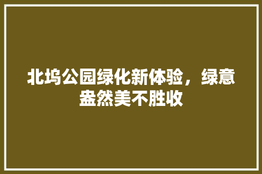 北坞公园绿化新体验，绿意盎然美不胜收