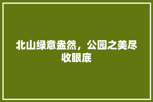 北山绿意盎然，公园之美尽收眼底