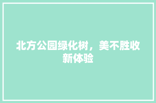 北方公园绿化树，美不胜收新体验