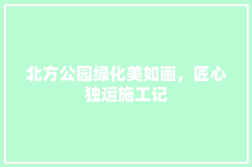 北方公园绿化美如画，匠心独运施工记