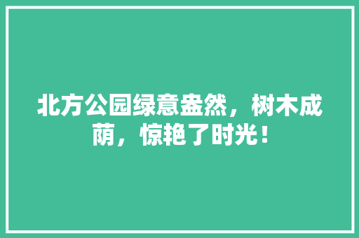 北方公园绿意盎然，树木成荫，惊艳了时光！