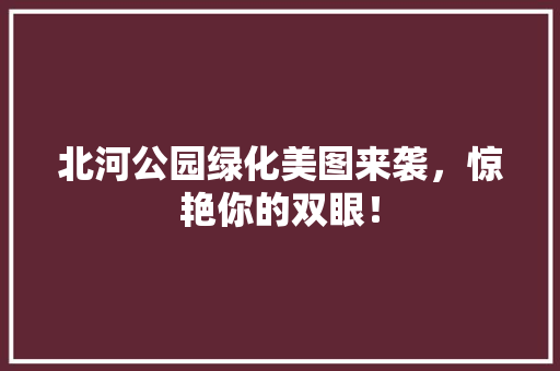 北河公园绿化美图来袭，惊艳你的双眼！
