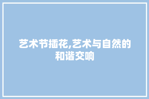 艺术节插花,艺术与自然的和谐交响