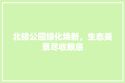 北碚公园绿化焕新，生态美景尽收眼底