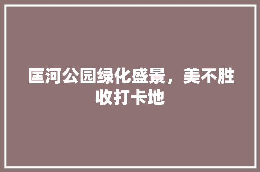 匡河公园绿化盛景，美不胜收打卡地