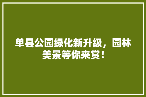单县公园绿化新升级，园林美景等你来赏！