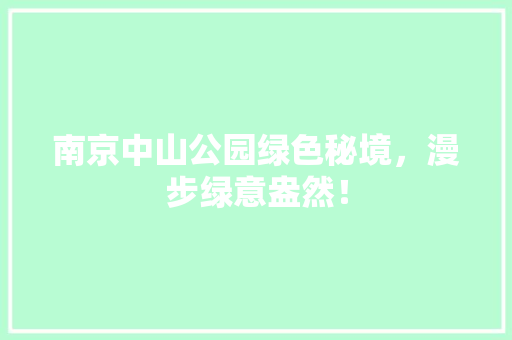 南京中山公园绿色秘境，漫步绿意盎然！