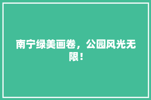 南宁绿美画卷，公园风光无限！