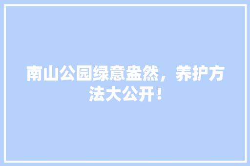 南山公园绿意盎然，养护方法大公开！