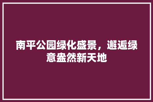 南平公园绿化盛景，邂逅绿意盎然新天地