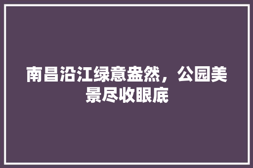 南昌沿江绿意盎然，公园美景尽收眼底