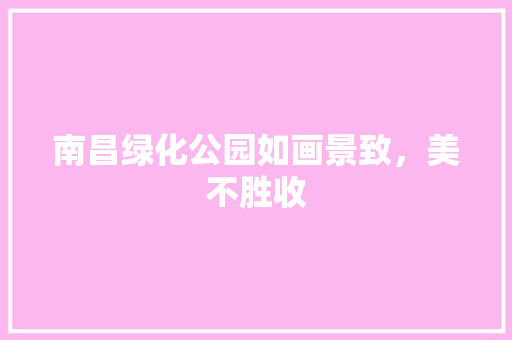 南昌绿化公园如画景致，美不胜收