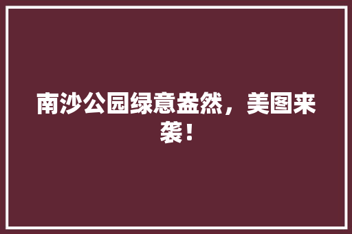 南沙公园绿意盎然，美图来袭！