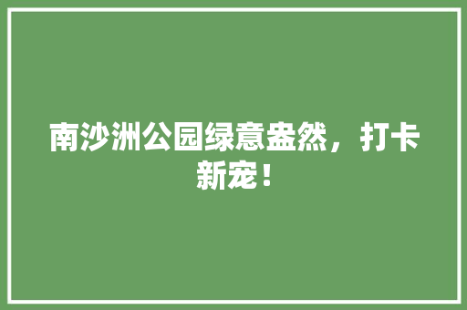 南沙洲公园绿意盎然，打卡新宠！