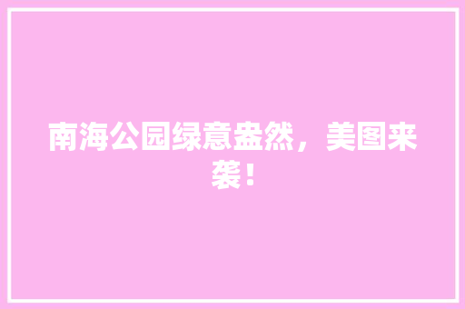 南海公园绿意盎然，美图来袭！