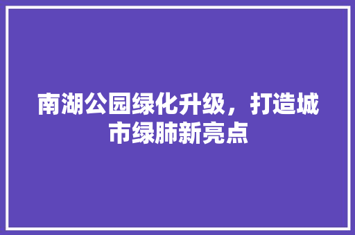 南湖公园绿化升级，打造城市绿肺新亮点