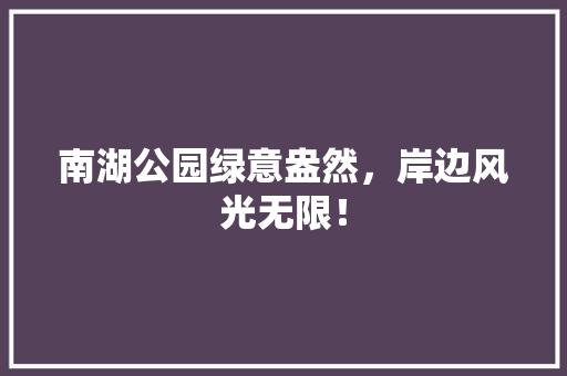 南湖公园绿意盎然，岸边风光无限！