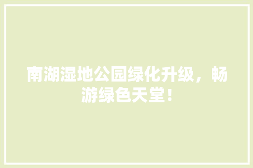 南湖湿地公园绿化升级，畅游绿色天堂！
