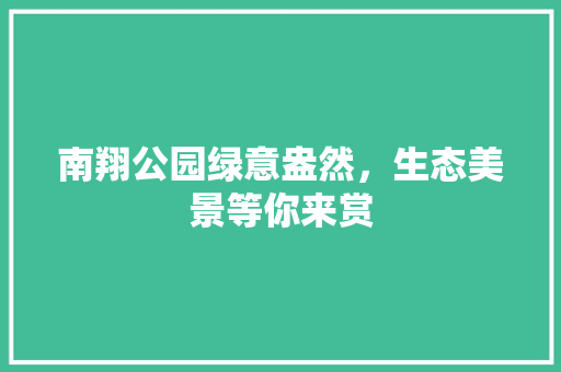南翔公园绿意盎然，生态美景等你来赏