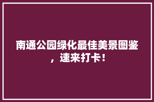 南通公园绿化最佳美景图鉴，速来打卡！
