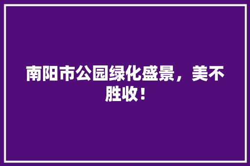 南阳市公园绿化盛景，美不胜收！